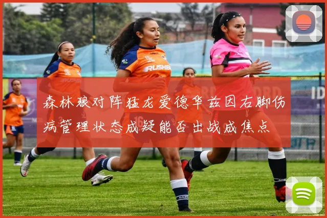 森林狼对阵猛龙爱德华兹因右脚伤病管理状态成疑能否出战成焦点
